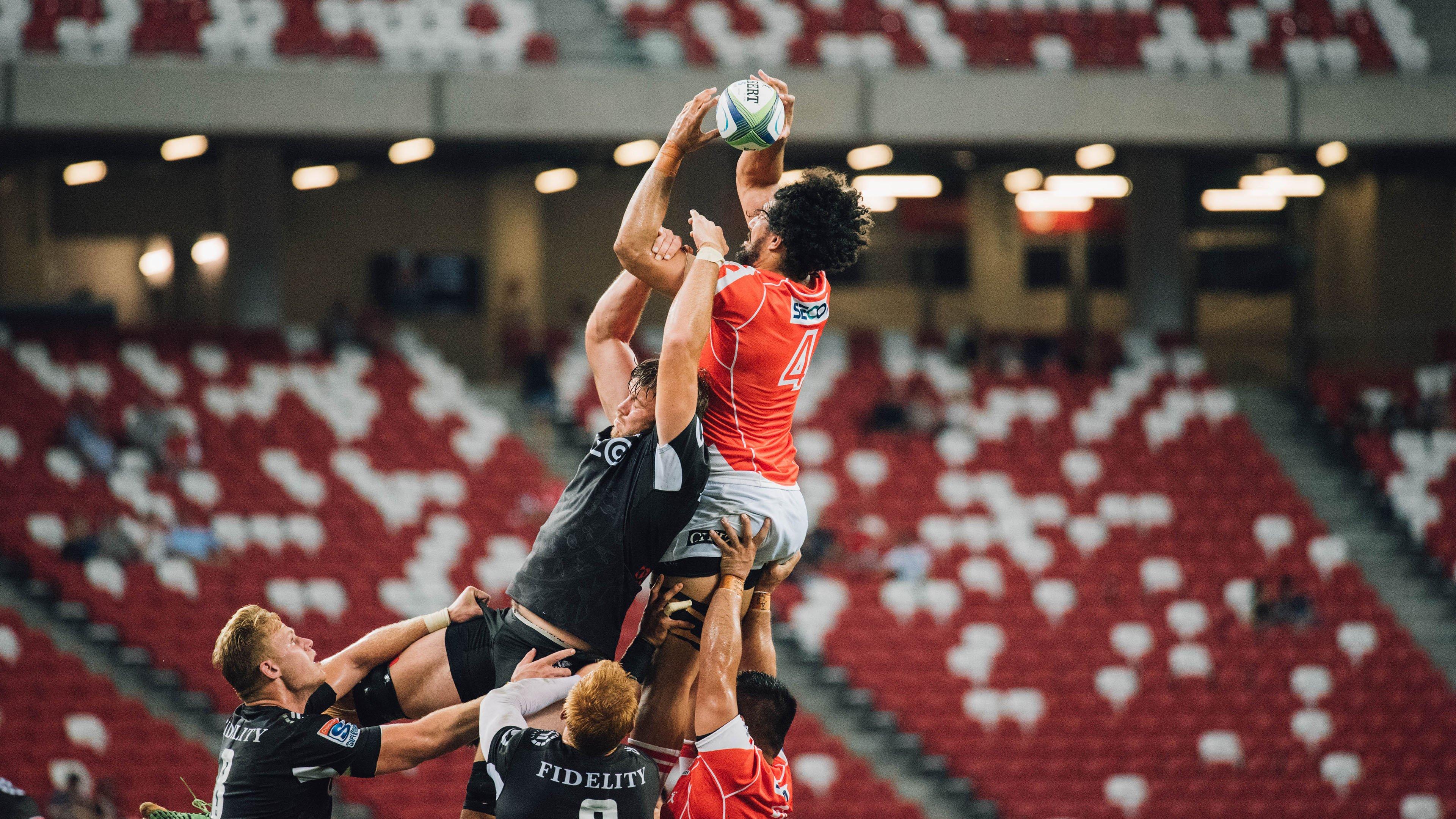 八年磨一剑，中国泳军闪耀巴黎再铸辉煌